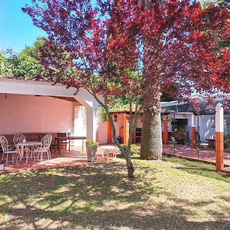 Botanique Guesthouse Cascais Kültér fotó